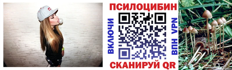 Галлюциногенные грибы GOLDEN TEACHER  мориарти клад  Дальнереченск 
